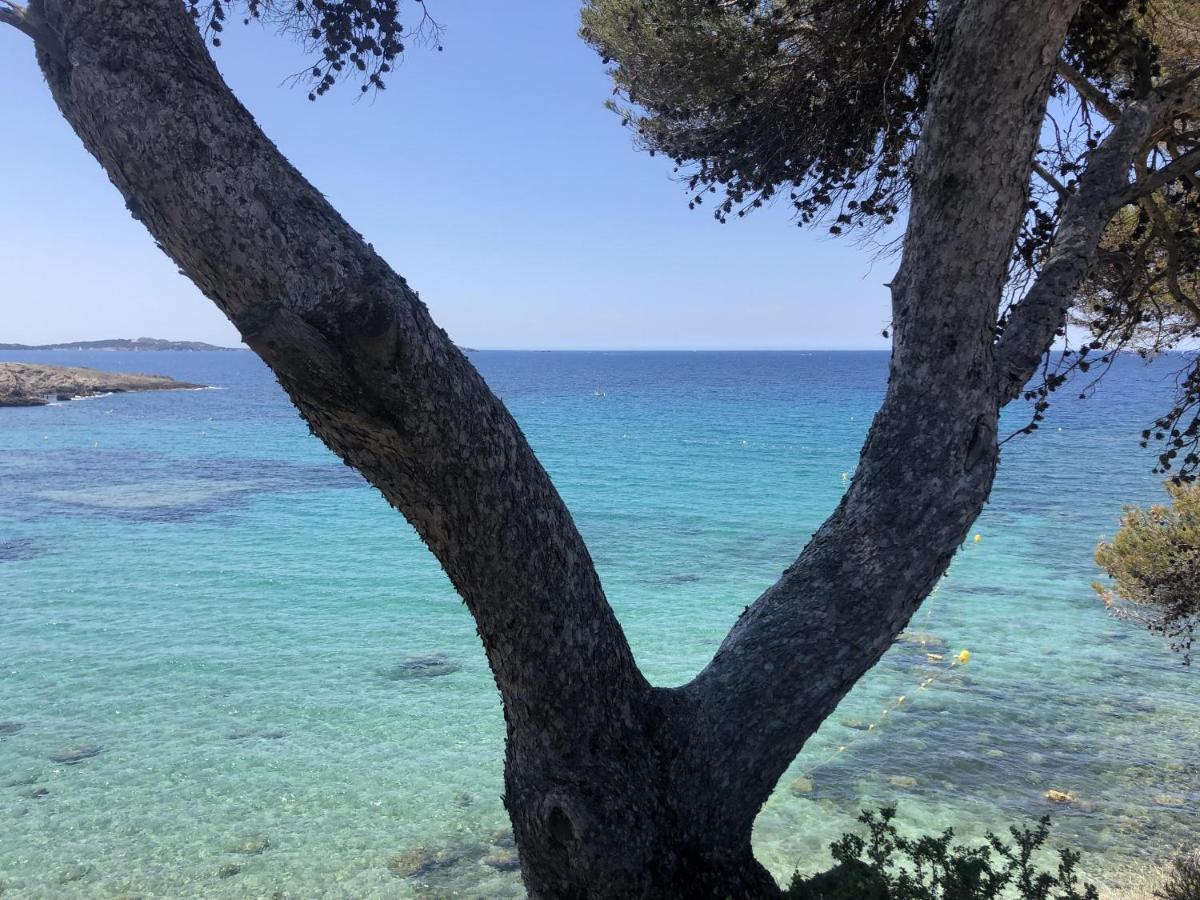 Les Baux 2 Sanary Sur Mer Exterior foto